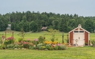summer flower Garden in Vermont