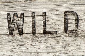Wooden Sign Wild