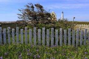 Lighthouse Windblown Beacon