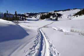 Beautiful landscape with the white shiny snow on the path