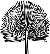 black and white drawing sheet