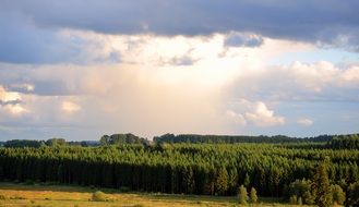 panoramic view of cloudy sky over a green forest