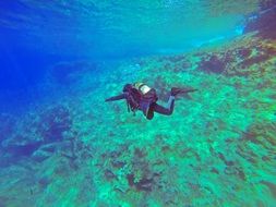 scuba diver in the ocean
