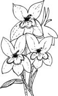 painted flower of greenhouse