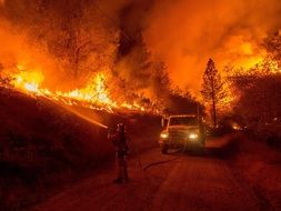 Firemen and wildfire