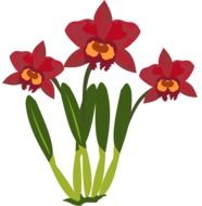 clip art of red orchids