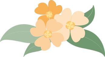three flowers with green leaves as a graphic illustration