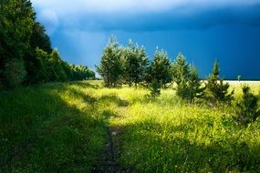 thunderclouds over a green meadow