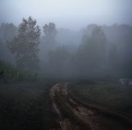 foggy morning over a road in the countryside