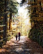 Autumn Forest Away Personal