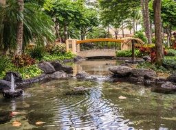 Landscape of Koi Pond Resort