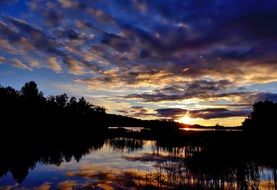 silhouettes of trees near a lake at sunset