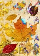 Collage with Autumn Leaves