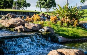 Small waterfall in a garden