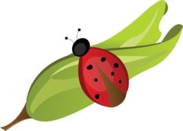 painted ladybug on a green leaf