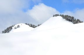 Snow on winter holidays