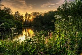 evening landscape by the lake