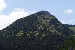 alpine mountains with green trees