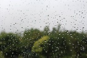 rainy day in window