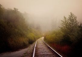 Old Rail Road through Forest in mist