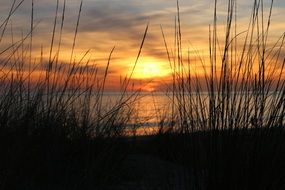 Landscape of the shore and sunset