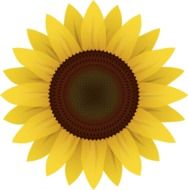 clipart of a sunflower bud
