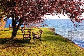 benches under autumn trees on Chiemsee lake