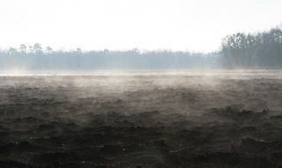 Landscape of forest in Early in the morning