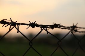 barbed wire on blurred background