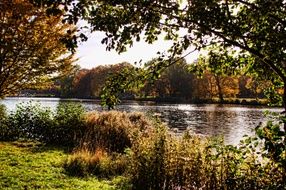 Schlosspark Charlottenburg forest Lake nature landscape