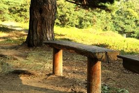 wooden bench and table in the forest