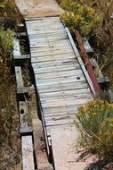 weathered Wooden walk Path in desert, usa, new mexico