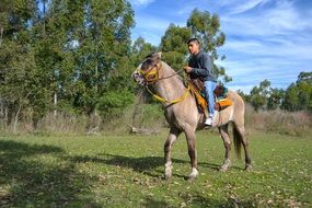 Riding on a horse on a Field