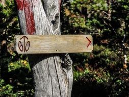 empty Sign on tree in Mountains closeup