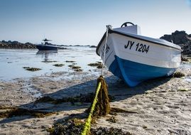 boat on the sandy beach with the plants near