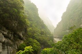 Suspension Bridge above stream across scenic gorge, Taiwan