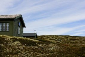 Beautiful Hardangervidda National Park with colorful plants in Norway