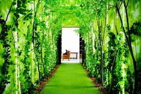 incomparable Forest Studio