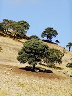 Mountains in Sardinia,Italy