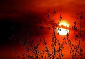 Red sunset in evening in summer