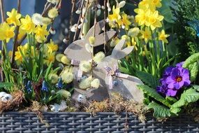 flower box with hares