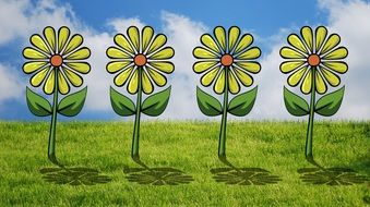 Yellow flowers on the field clipart