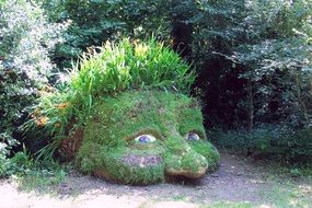 Madeira Sculpture Stone face