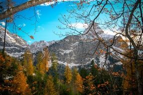 mountains behind autumn trees