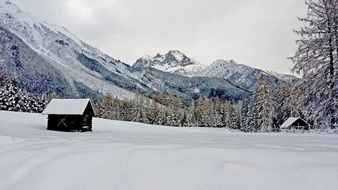 small cabins in mountain valley at snowy winter