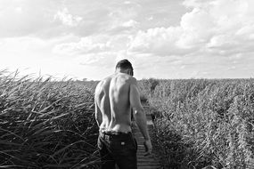 black and white image of back view of sporty man among the high grass