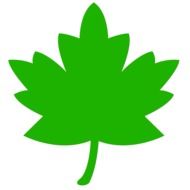 green Leaf Green drawing