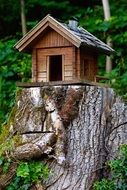 small wooden house on the stump