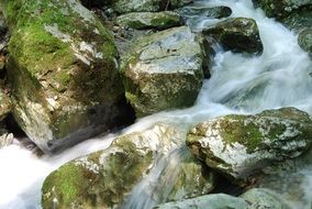 Water and rocks