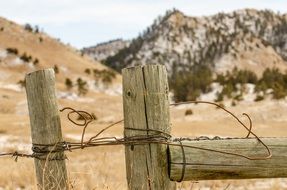 barbed wire fence in countryside